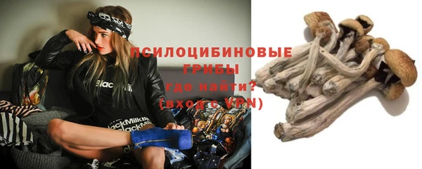 PSILOCYBIN Алексин