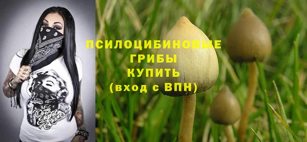 таблы Алексеевка