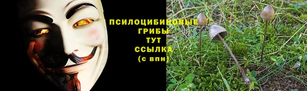 таблы Алзамай