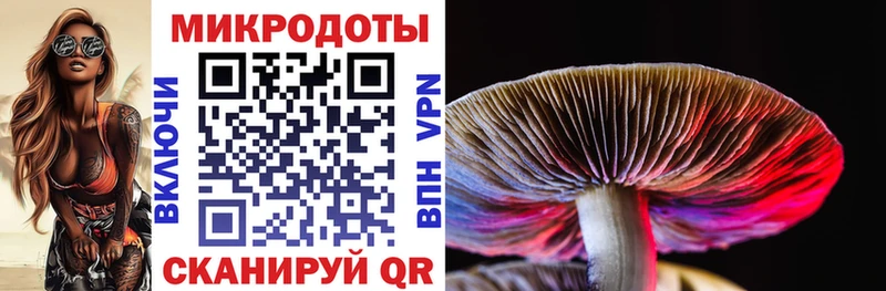 Купить  Азнакаево  Псилоцибиновые грибы Psilocybe 